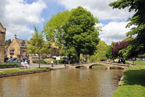 From London: Full-Day Cotswolds Small-Group Tour