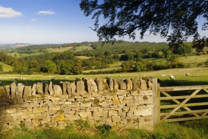 From London: Full-Day Cotswolds Small-Group Tour