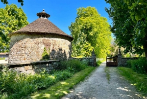 From London: Stonehenge & the Stone Circles of Avebury Tour