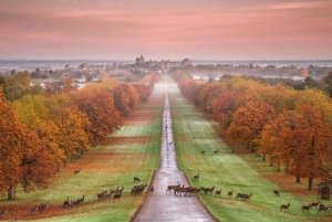 From London: Stonehenge, Windsor and Salisbury Guided Tour