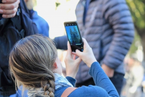 Grand London Half-Day Bicycle Tour