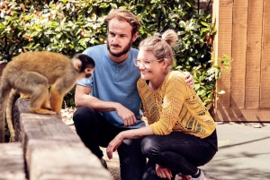 London: Explorer Pass with 80+ Top Attractions - Go City