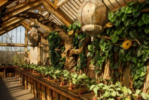 London: Harry Potter Studio Tour and Oxford Day Trip