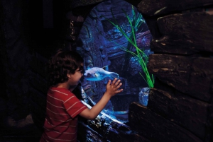 London: Madame Tussauds, London Eye & SEA LIFE Combo Ticket