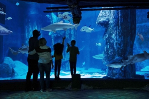 London: Madame Tussauds, London Eye & SEA LIFE Combo Ticket