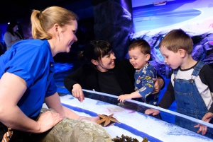 London: Madame Tussauds, London Eye & SEA LIFE Combo Ticket