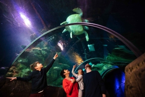 London: Madame Tussauds, London Eye & SEA LIFE Combo Ticket