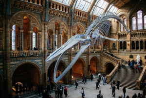 Londres: tour exprés por el Museo de Historia Natural y app de audio
