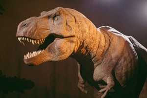 Londres: tour exprés por el Museo de Historia Natural y app de audio