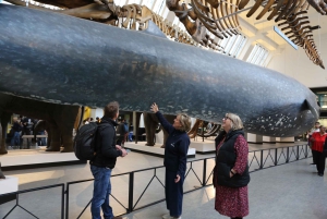 Londres: tour exprés por el Museo de Historia Natural y app de audio