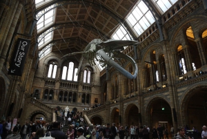 Londres: tour exprés por el Museo de Historia Natural y app de audio