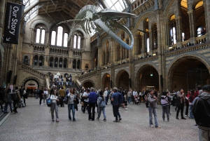 Londres: tour exprés por el Museo de Historia Natural y app de audio