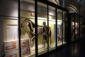 Londres: tour exprés por el Museo de Historia Natural y app de audio
