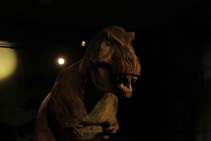 Londres: tour exprés por el Museo de Historia Natural y app de audio