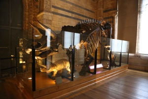 Londres: tour exprés por el Museo de Historia Natural y app de audio