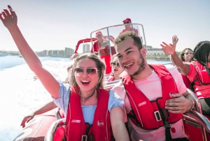 London: River Thames Speed Boat Tour
