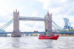London: River Thames Speed Boat Tour