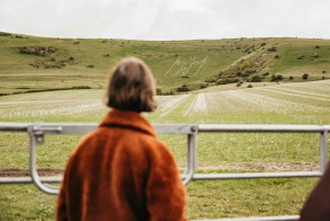 London: South Downs White Cliffs Day Trip with Train Tickets