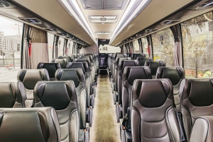 London: Stansted Airport from/to Central London Bus Transfer