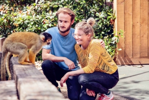 London: The London Pass with 90+ Attractions and Tours