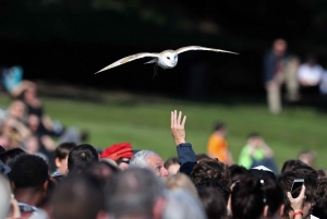 Warwick, Oxford and Stratford Full-Day Tour from London