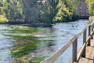 Winchester: Historic Castles and Cathedrals Walking Tour