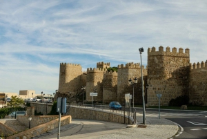 Avila and Segovia: Full-Day Guided Trip from Madrid