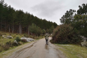From  Day Trip to Guadarrama National Park