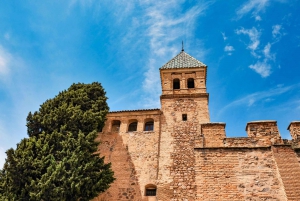 Från Madrid: Avila, Segovia och Toledo privat tur från Madrid