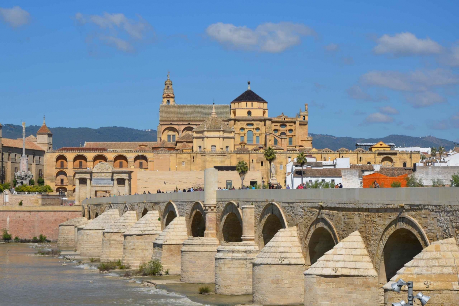 From Madrid: Cordoba and Mosque Day Trip by High-Speed Train