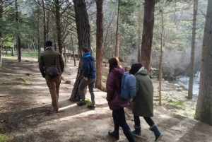 From Madrid: Day Trip to Guadarrama National Park