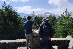 From Madrid: Day Trip to Guadarrama National Park