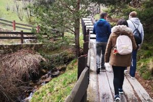From Madrid: Day Trip to Guadarrama National Park