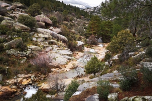 From Madrid: Day Trip to Guadarrama National Park