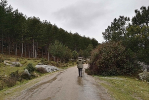 From Madrid: Day Trip to Guadarrama National Park