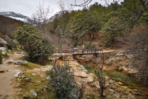 From Madrid: Day Trip to Guadarrama National Park
