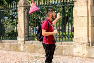 From Madrid: Guided Day Trip to Segovia and Toledo