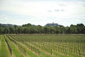 From Madrid: Ribera del Duero Tour of 3 Different Wineries