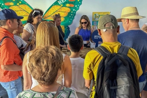 From Madrid: Toledo & Segovia with Optional Ávila Tour