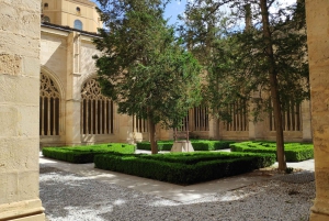 Madrid: Avila and Segovia Day Trip with Tickets to Monuments