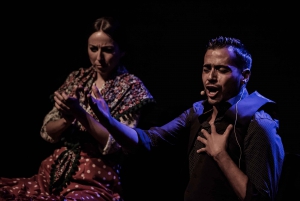 Madrid: Flamenco Show at Tablao 'Las Tablas'