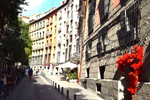 Madrid: Guidet rundvisning på hundrede år gamle restauranter med tapasmiddag