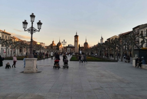 Madrid: Half-Day Alcalá de Henares Tour