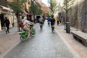 Madrid: Literary Quarter & Retiro Park Electric Bike Tour