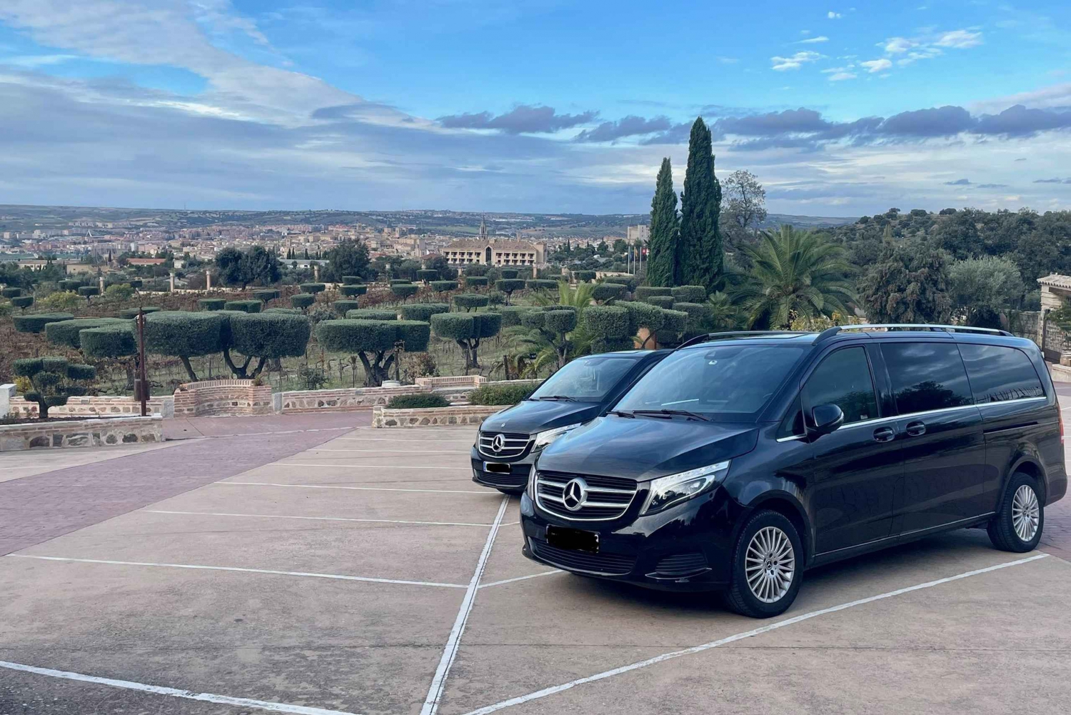 Toledo: Private Minivan tour from Madrid