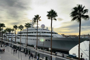 Designer Outlet Shopping + VIP Tesla X 360° City Tour