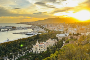 Designer Outlet Shopping + VIP Tesla X 360° City Tour