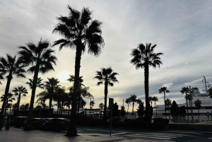 Designer Outlet Shopping + VIP Tesla X 360° City Tour