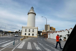 Designer Outlet Shopping + VIP Tesla X 360° City Tour