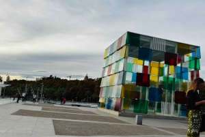 Designer Outlet Shopping + VIP Tesla X 360° City Tour